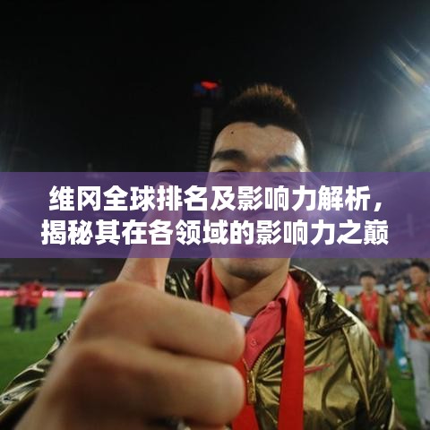 维冈全球排名及影响力解析，揭秘其在各领域的影响力之巅！