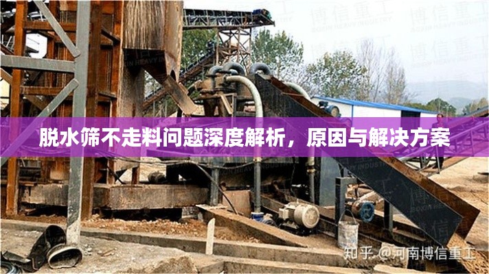 脱水筛不走料问题深度解析，原因与解决方案