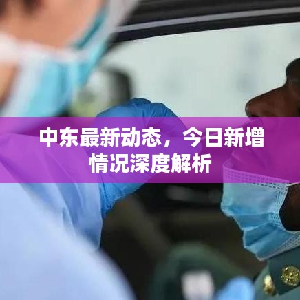 中东最新动态，今日新增情况深度解析