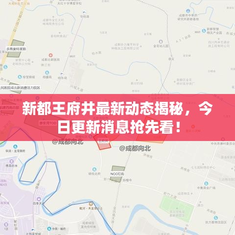 新都王府井最新动态揭秘，今日更新消息抢先看！