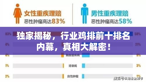 独家揭秘，行业鸡排前十排名内幕，真相大解密！