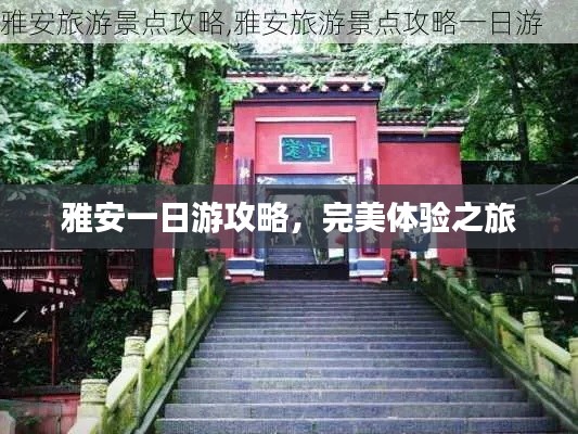 雅安一日游攻略，完美体验之旅