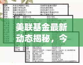 美联基金最新动态揭秘，今日重磅消息一网打尽