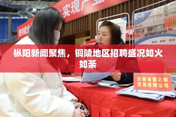 枞阳新闻聚焦，铜陵地区招聘盛况如火如荼
