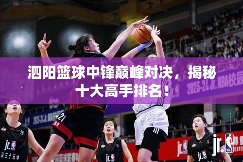 泗阳篮球中锋巅峰对决，揭秘十大高手排名！