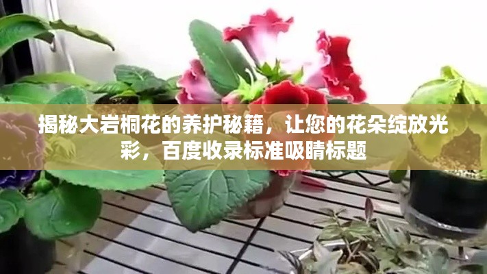 揭秘大岩桐花的养护秘籍，让您的花朵绽放光彩，百度收录标准吸睛标题