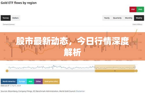 股市最新动态，今日行情深度解析