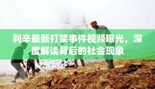 利辛最新打架事件视频曝光，深度解读背后的社会现象