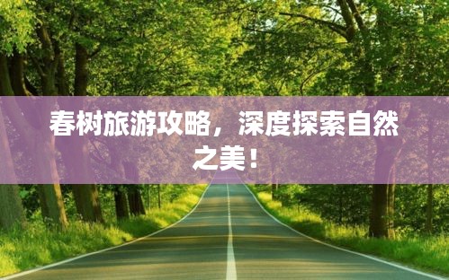 春树旅游攻略，深度探索自然之美！
