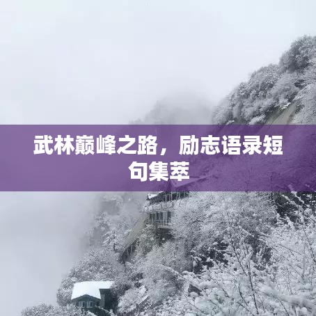 武林巅峰之路，励志语录短句集萃