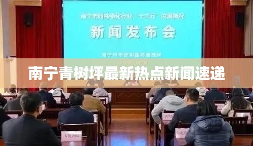 南宁青树坪最新热点新闻速递