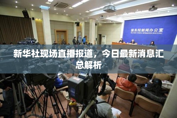 新华社现场直播报道，今日最新消息汇总解析