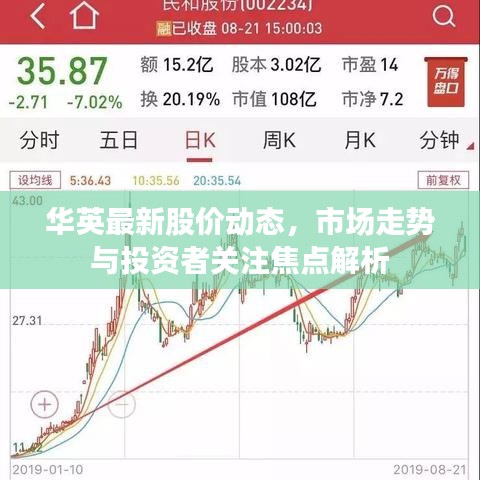 华英最新股价动态，市场走势与投资者关注焦点解析