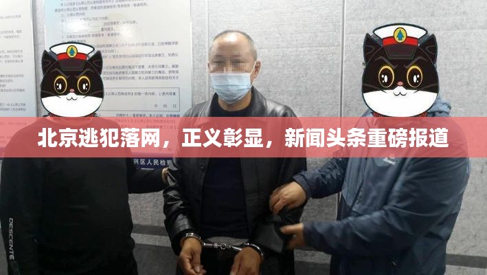 北京逃犯落网，正义彰显，新闻头条重磅报道