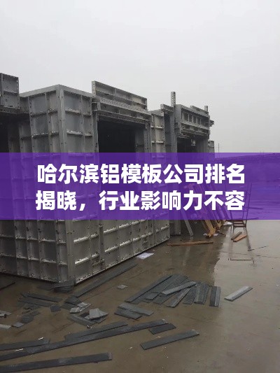 哈尔滨铝模板公司排名揭晓，行业影响力不容小觑