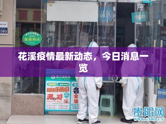 花溪疫情最新动态，今日消息一览