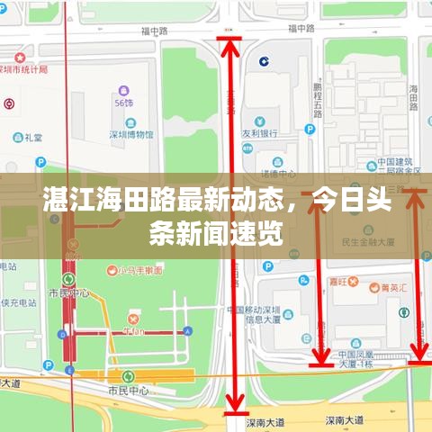 湛江海田路最新动态，今日头条新闻速览