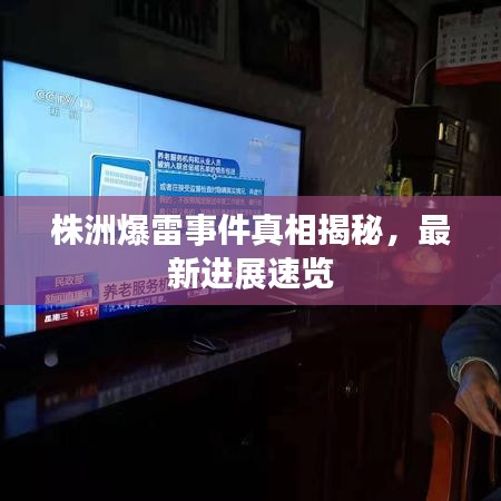 株洲爆雷事件真相揭秘，最新进展速览