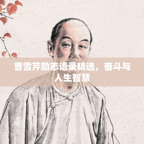 曹雪芹励志语录精选，奋斗与人生智慧
