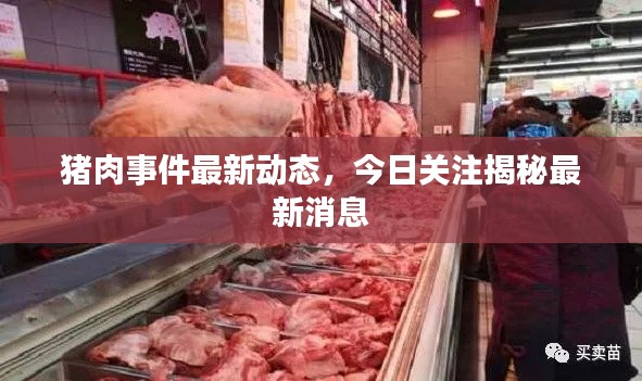 猪肉事件最新动态，今日关注揭秘最新消息