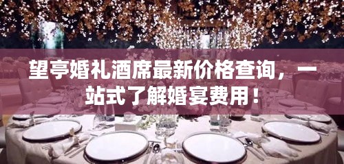 望亭婚礼酒席最新价格查询，一站式了解婚宴费用！