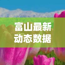 富山最新动态数据揭秘，今日更新消息速递！