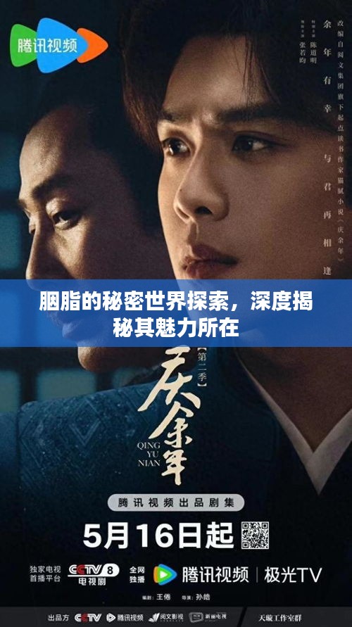 胭脂的秘密世界探索，深度揭秘其魅力所在
