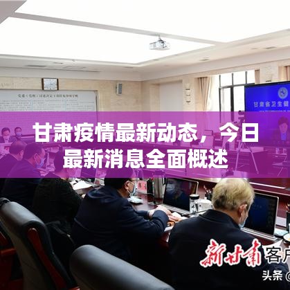 甘肃疫情最新动态，今日最新消息全面概述