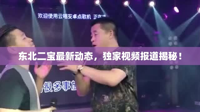 东北二宝最新动态，独家视频报道揭秘！