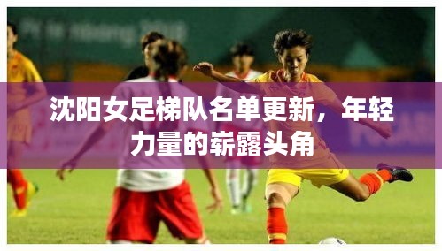 沈阳女足梯队名单更新，年轻力量的崭露头角