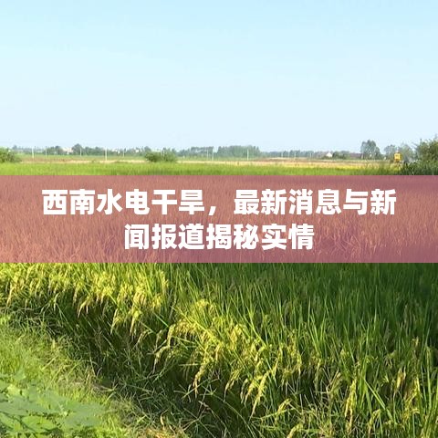 第250页