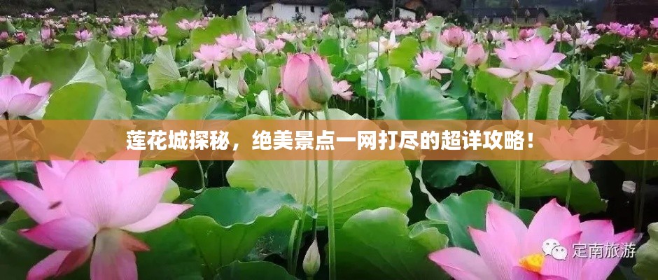 莲花城探秘，绝美景点一网打尽的超详攻略！