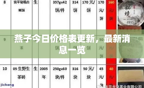 燕子今日价格表更新，最新消息一览