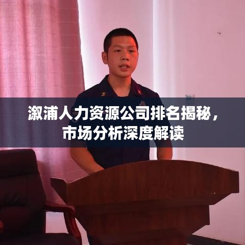 溆浦人力资源公司排名揭秘，市场分析深度解读