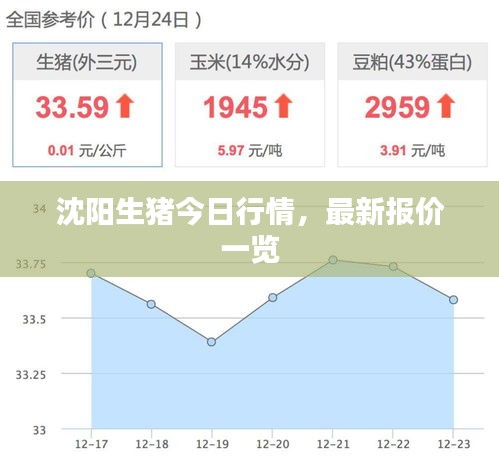 沈阳生猪今日行情，最新报价一览