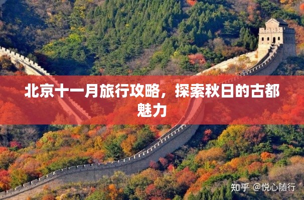 屈高就下