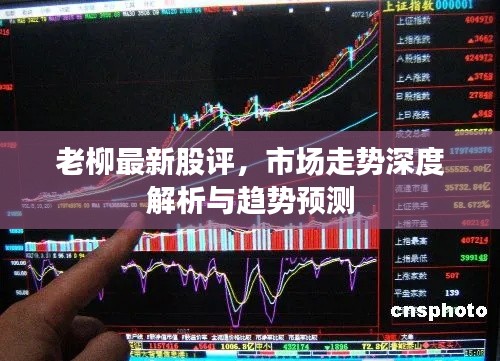 老柳最新股评，市场走势深度解析与趋势预测