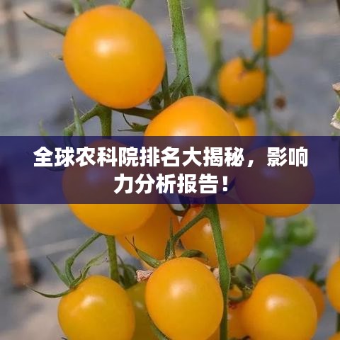 全球农科院排名大揭秘，影响力分析报告！