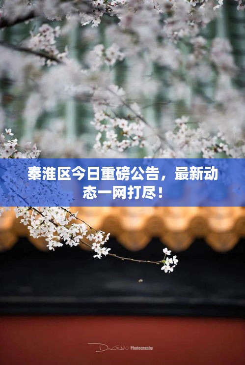秦淮区今日重磅公告，最新动态一网打尽！