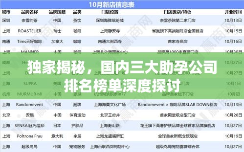 独家揭秘，国内三大助孕公司排名榜单深度探讨