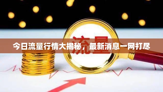 今日流量行情大揭秘，最新消息一网打尽