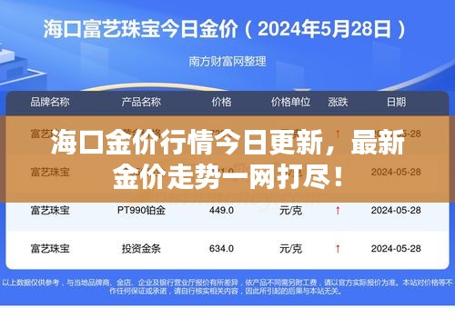 海口金价行情今日更新，最新金价走势一网打尽！