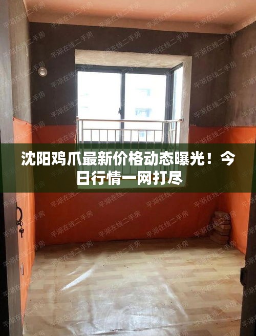 沈阳鸡爪最新价格动态曝光！今日行情一网打尽