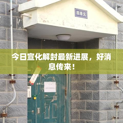 今日宣化解封最新进展，好消息传来！