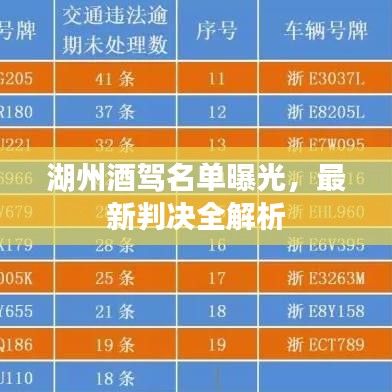 湖州酒驾名单曝光，最新判决全解析