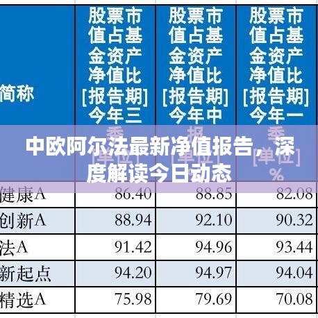 中欧阿尔法最新净值报告，深度解读今日动态