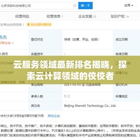云服务领域最新排名揭晓，探索云计算领域的佼佼者