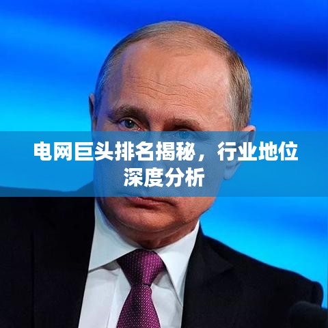 电网巨头排名揭秘，行业地位深度分析