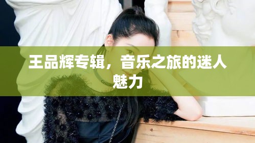 王品辉专辑，音乐之旅的迷人魅力