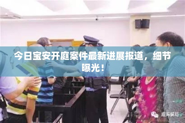 今日宝安开庭案件最新进展报道，细节曝光！
